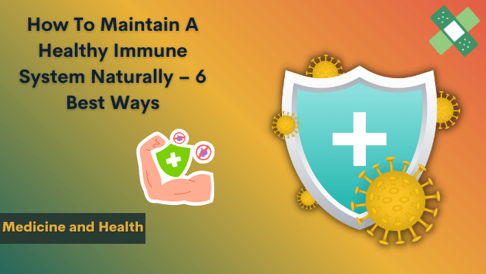 how to maintain a healthy immune system