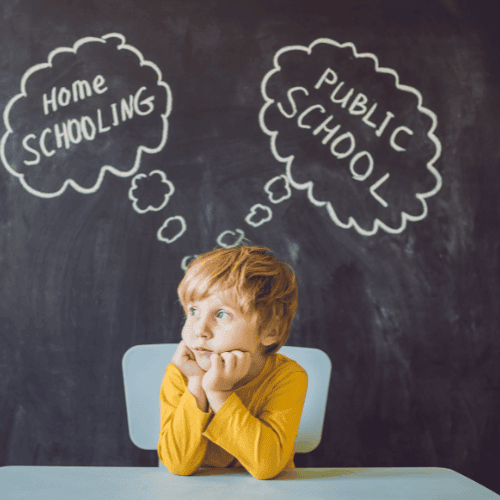 homeschooling vs public school