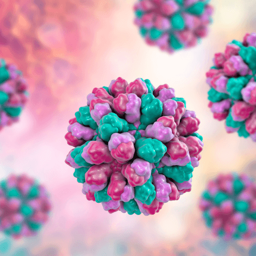 norovirus symptoms in adults norovirus symptoms in adults