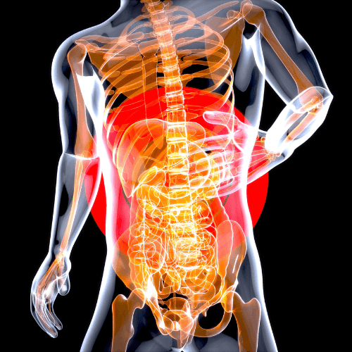 stomach bug in adults treatment